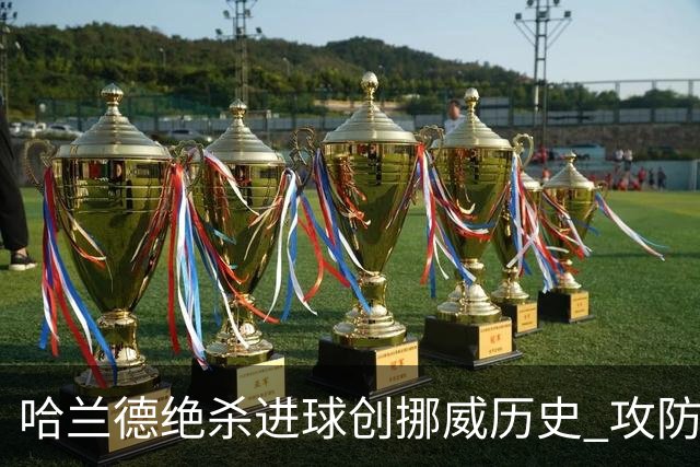 哈兰德绝杀进球创挪威历史 攻防全能将考验桑巴军团